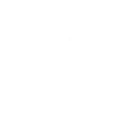 IBM Open Pages